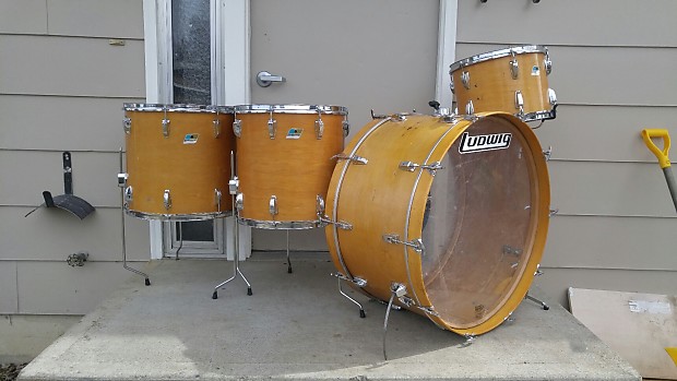 Ludwig thermogloss cheap