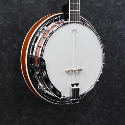Ibanez B200 5-String Banjo Natural Closed Back image 4
