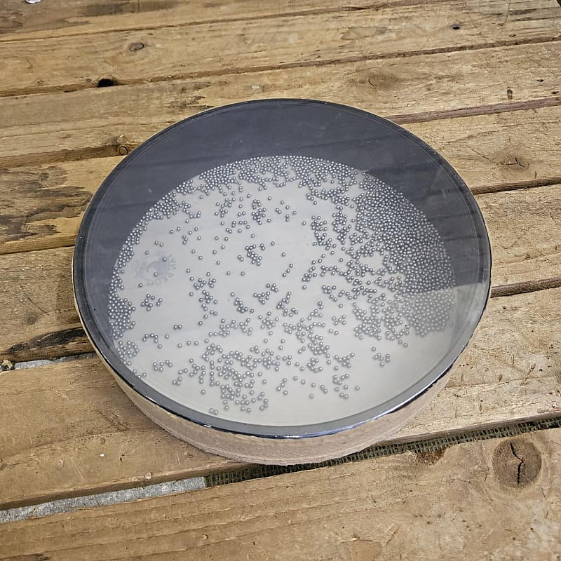 Remo 12" Ocean Hand Drum, Earth Natural Design USED! Reverb