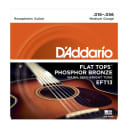 NEW D'Addario EFT13 Flat Tops Phosphor Bronze Resonator Strings -  Medium - .016-.056