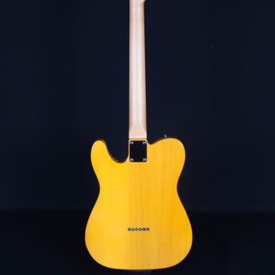 Fender Standard Telecaster, Maple FB, Butterscotch Blonde image 7