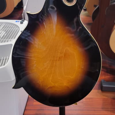Gold Tone GM-35 F Style Mandolin with case - Tobacco Sunburst image 5