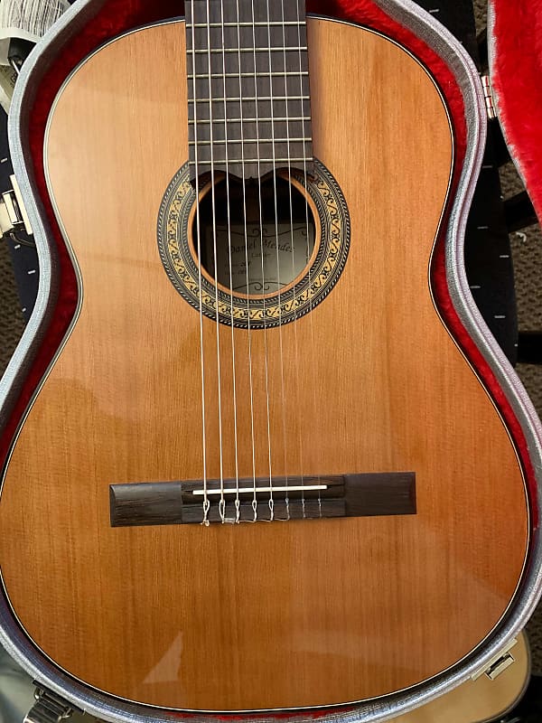 Daniel Mendes Eight String Guitar 2018 Cedar / Brazilian Rosewood image 1