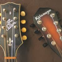 buzzbuzz…johnson リゾネーターマンドリン Johnson Resonator Mandolin | Reverb