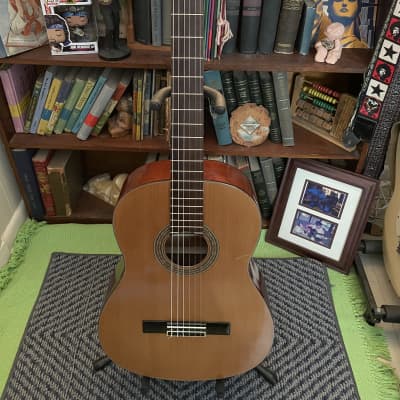 1970’s? Epiphone C40  Classical guitar- Natural for sale
