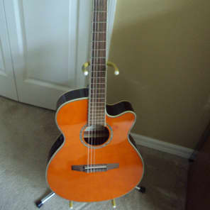 Ibanez AEG10NE Nylon String Cutaway Acoustic-Electric Guitar image 1