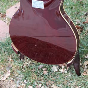 Silvertone By Samick SIGNED BY ERIC CLAPTON SSLA-30/TR Semi