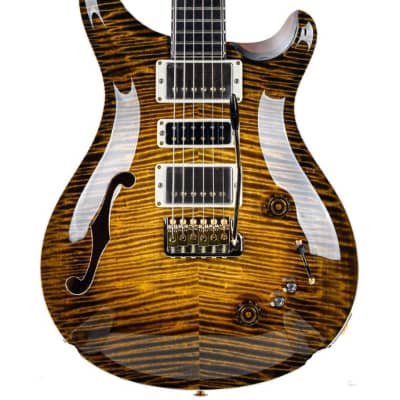 PRS Private Stock Special 22 Semi Hollow Tiger Eye Glow image 1
