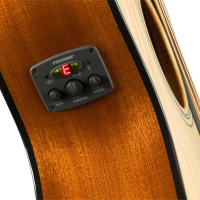 Fender CB-60SCE Acoustic-Electric Bass Guitar, Natural image 5