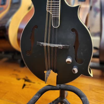 Luna Moonbird F-Style Acoustic-Electric Mandolin  for sale