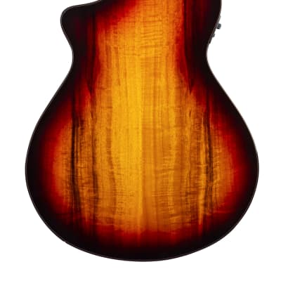 Breedlove ECO Pursuit Exotic S Concert CE Acoustic-electric Guitar - Canyon Burs image 6