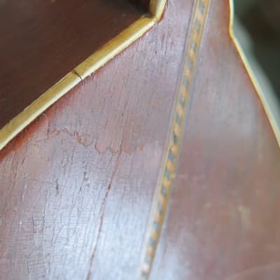 RARE vintage 1910 Victoria (Oscar Schmidt) flat-back mandolin New York / luthier project image 20