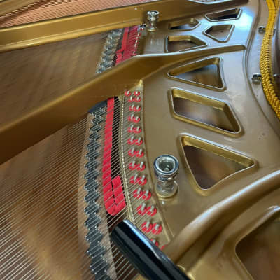 Grand piano Steinlager Baby 5’8” image 5
