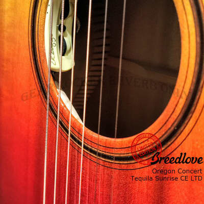 Breedlove Oregon Concert Tequila Sunrise CE LTD 2023 all solid Sitka Spruce & Myrtlewood guitar image 9