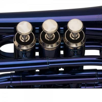 Stagg WS-TR246S Bb Pocket Trumpet with Case Blue image 3
