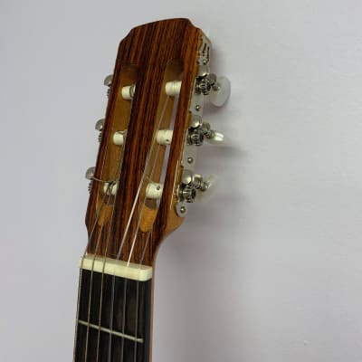 Aria Pepe P-55..Cedar w poly finish | Reverb