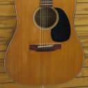 Martin  D-18 1984 Acoustic/Electric with Case