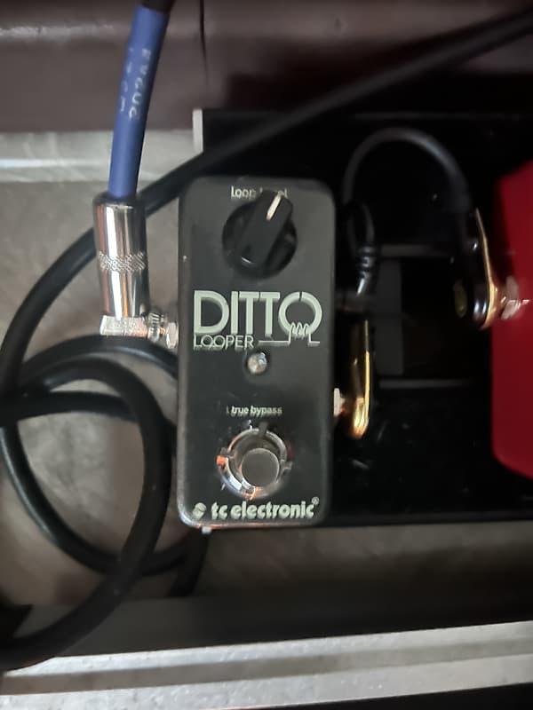 TC Electronic Ditto Looper