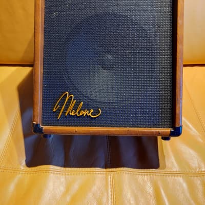 Pignose G40V, handwired, one of a kind image 1