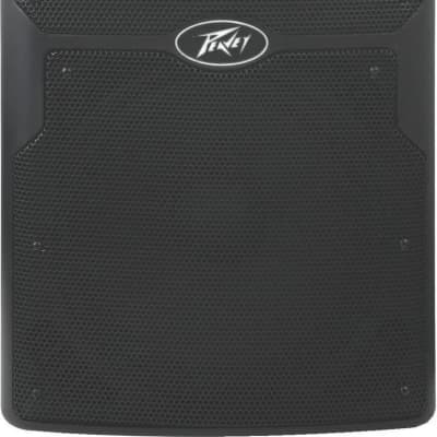 Peavey PVX 12 | Reverb