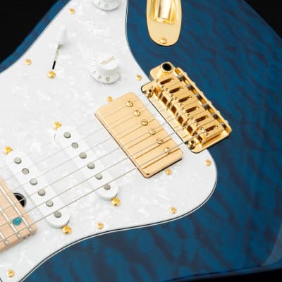 T’s guiters DST-24 order T's Guitars DST-24 Carved Top 7 Strings - Frozen Sky- / Shop