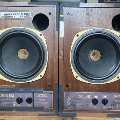 Tannoy srm hot sale 10b