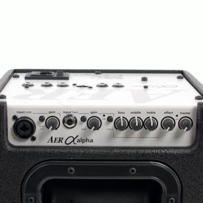 AER Alpha 40W 1x8 Acoustic Guitar Combo Amp image 6