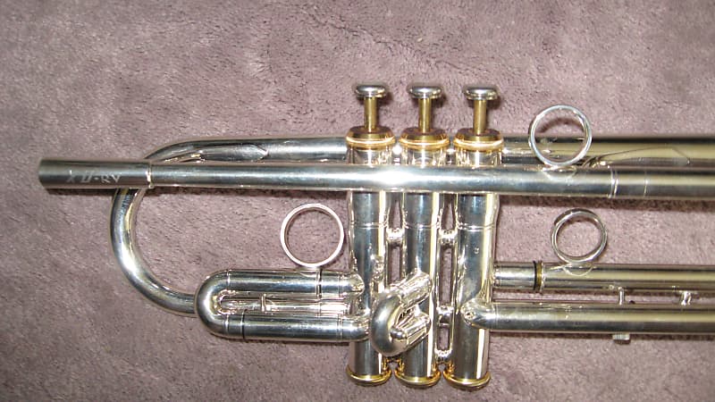 XO RV-S PROFESSIONAL TRUMPET - Silver Plate with Gold Trims | Reverb