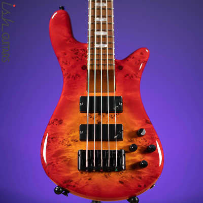 Spector Eurobolt 5 Inferno Red Gloss Poplar Burl Bass Guitar for sale