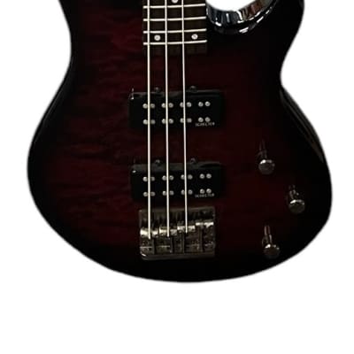Schecter Raiden Special-4 4-String Bass Black Cherry | Reverb