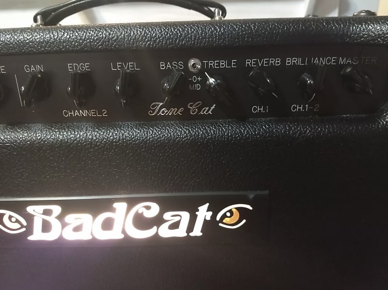 Bad Cat Tone Cat 2000's Black only around 20 of these amps