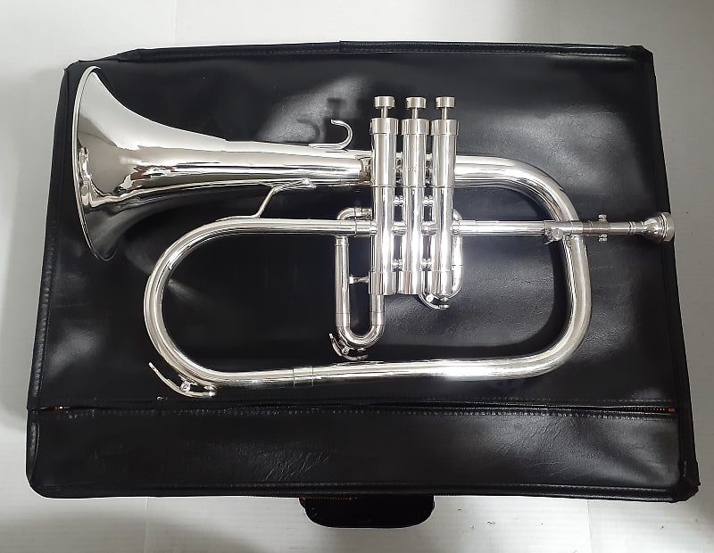 Getzen ETERNA 895S- 3 Valve FLUGELHORN , Mouthpiece & 2 Handle Combo Hard  case . 1964-1967 - Silver plated