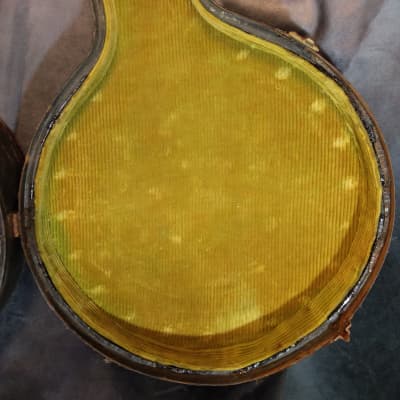 Unbranded Mandolin-Banjo 8 String "Banjolin" 1940s? - Natural image 23
