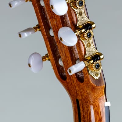 Pavan TP-20  Cedar Spanish Classical Guitar image 9