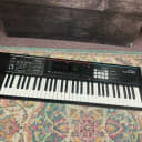 Roland Juno-DS 61 Synthesizer (Cleveland, OH)