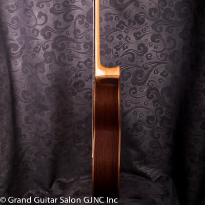 Daniel Stark "Espagnola II" classical guitar  Cedar/Wenge B & Sides image 4