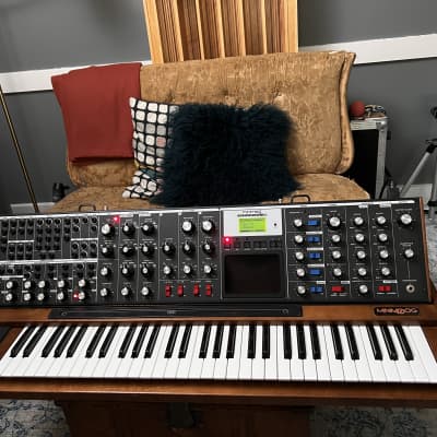 Moog MiniMoog Voyager XL Walnut + Flight Case and Patch Cables