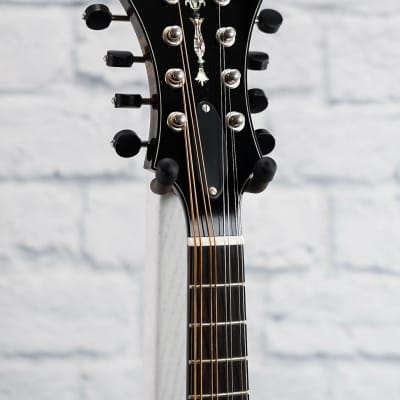 Northfield F5S Limited Edition Mandolin- 2024 image 3
