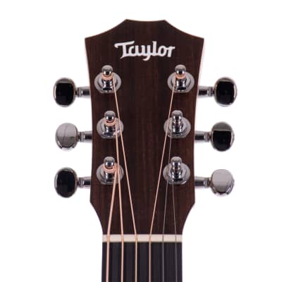 Taylor Baby Taylor Sapele/Mahogany Acoustic Guitar, Natural image 5