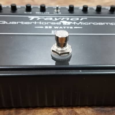 Traynor DH25H QuarterHorse Microamp 25-Watt Stompbox Guitar Amplifier |  Reverb