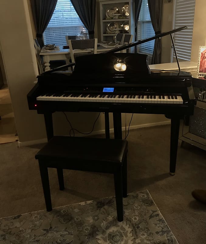 suzuki mdg300 Reverb