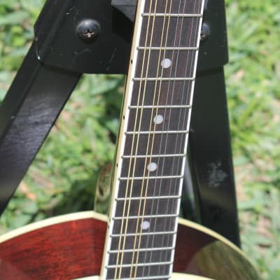 Rogue Banjo Mandolin Cherry New with Hard Case never played image 3