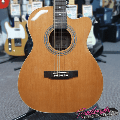 Johnson JG-650-TN Thinbody Acoustic Electric Guitar, Natural