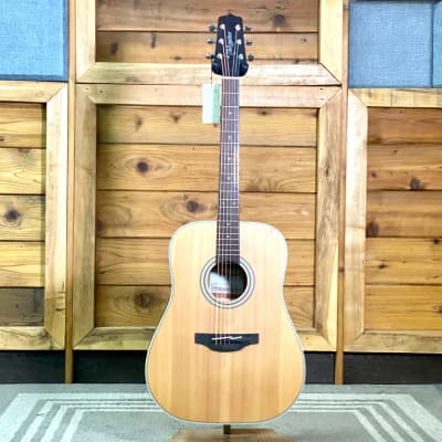 Takamine GD20NS Dreadnought , Natural for sale