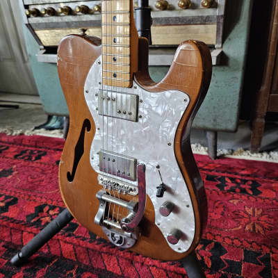 Fender Telecaster Thinline with Bigsby (1972 - 1975) | Reverb