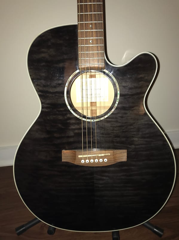 Takamine EG440C Trans Black | Reverb