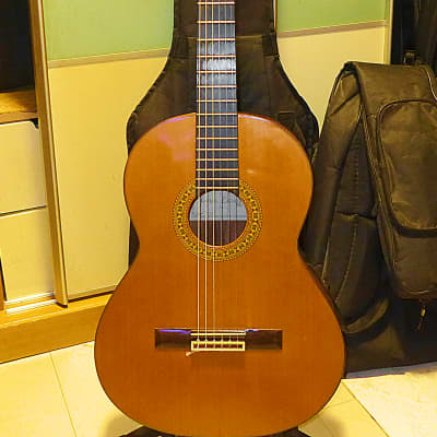 Tomas Lazaro TL-20 classical guitar with hard case image 1