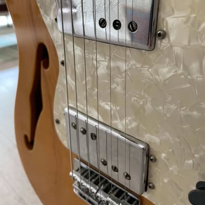 1972 Fender Telecaster Thinline  (Natural) image 3