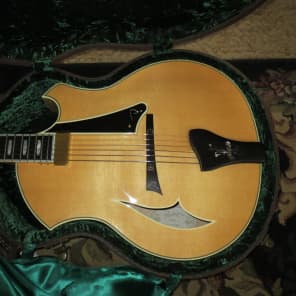 Big Opportunity-  Parker  PJ14 Hollow Body Jazz Guitar - never been owned 2009 Natural image 2