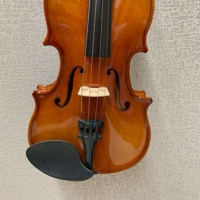 Stagg Model VN-1/4 - 1/4 Size Solid Maple Violin with case, bow and accessories image 6